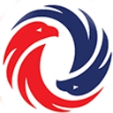 Priority Insurance Agency, Llc logo
