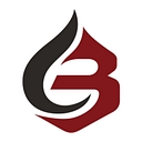 Best Pump And Flow logo
