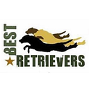 Best Retrievers