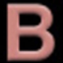 B.E.S.T. logo