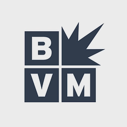 Best Version Media logo