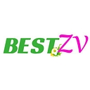 bestzv2.com