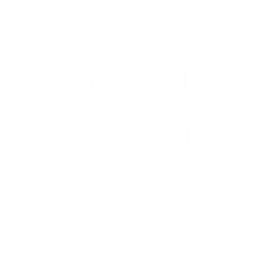 Beta Air LLC logo