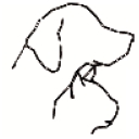 Bethany Centennial Animal Hospital