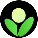 Betula.ai