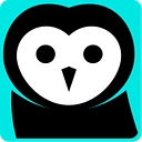 Favicon of BeWiser Insurance