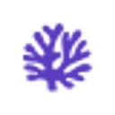 Beyond Coral Foundation logo