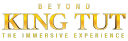 beyondkingtutstore.com logo