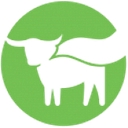 Logo for beyondmeat.com