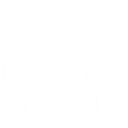 Beyond Sports logo