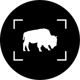 The BFLO Store logo