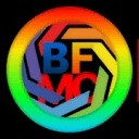 Bfmc Inc logo