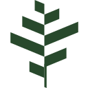 Bentallgreenoak logo