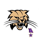 Bowling Green R-I School District logo