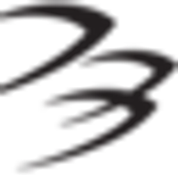 Blackhawk Network logo
