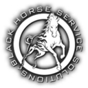 Black Horse Plumbing, Heating & Air logo