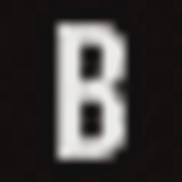 Bhumika Limited logo