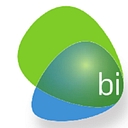 Favicon of bi excellence software GmbH