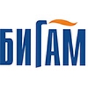 Bigam logo
