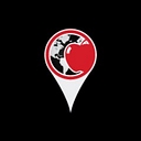 Big Apple Car, Inc. logo
