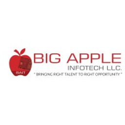 Big Apple Infotech, LLC logo