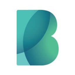 Bigbank Logo