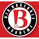 B.I.G. Baseball Academy logo