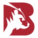 Big Bear Roofing logo