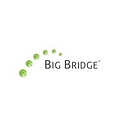 Big Bridge logo
