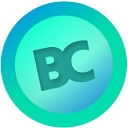BIGCASHWEB logo