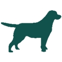 Big Creek Foods Llc logo
