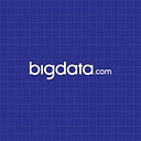BigData Technology Solutions logo