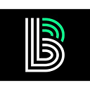 BIG BROTHERS BIG SISTERS OF CENTRAL logo