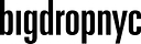 Logo for bigdropnyc.com