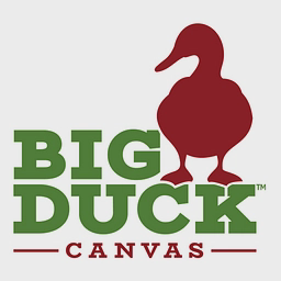 Logo of bigduckcanvas.com