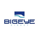 Bigeye Direct Inc. logo