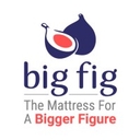 Big Fig logo