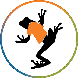 Big Frog Custom T-Shirts & More logo