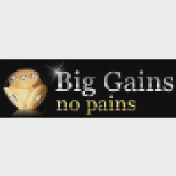 Big Gains No Pains Ltd logo