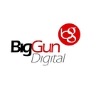 Favicon of Biggundigital