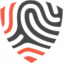 BigID Next logo