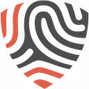 BigID logo