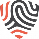 BigID Data Security Platform Logo