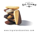 Big Island Candies Inc logo