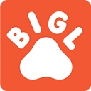 bigl.ua logo