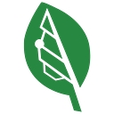 Bigleaf Networks Logo