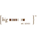 Big Minnow logo