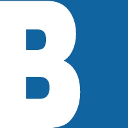 bignewsnetwork.com logo