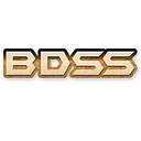 Bdss (Big Data Secured Solutions ) logo