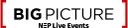 Big Picture Australia & New Zealand logo